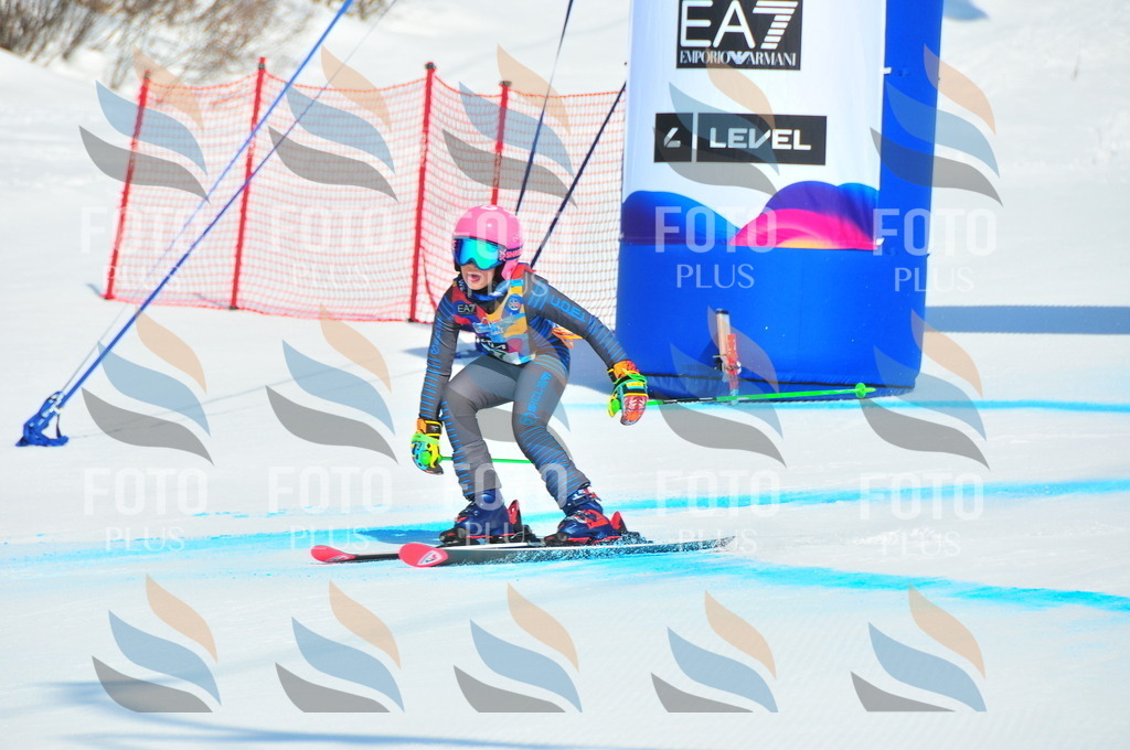 DSC_0663 | holidayphoto