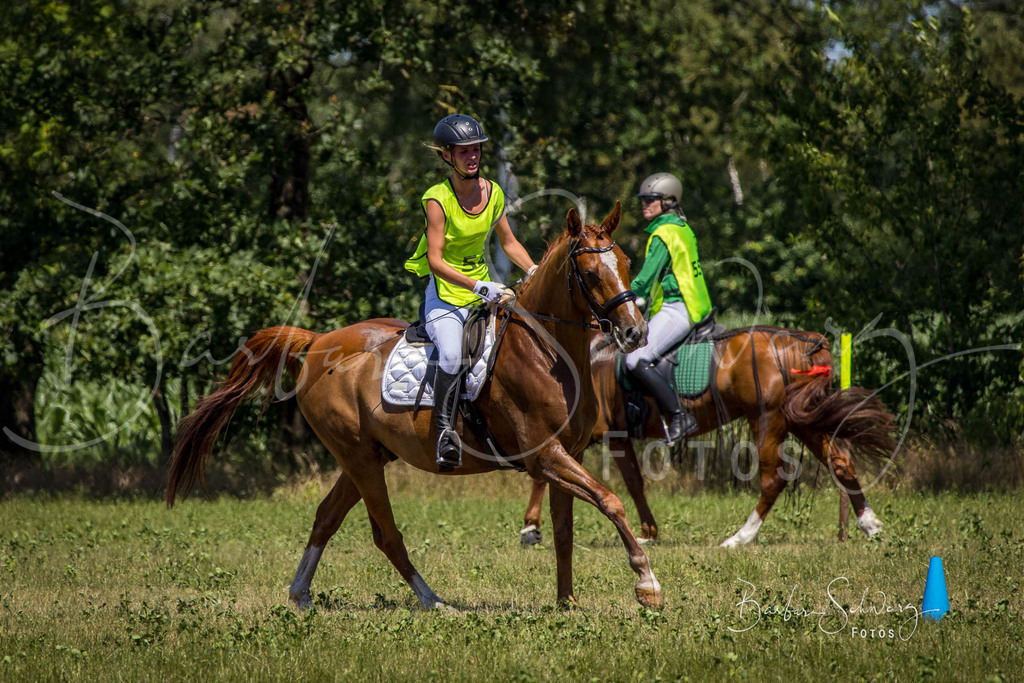 CJP_2026-06-26_36 | Stimmungsvolle Fotografie von Pferden, fotografische Begleitung von Veranstaltungen, Golfturnieren und Distanzritten - Realisiert mit Pictrs.com