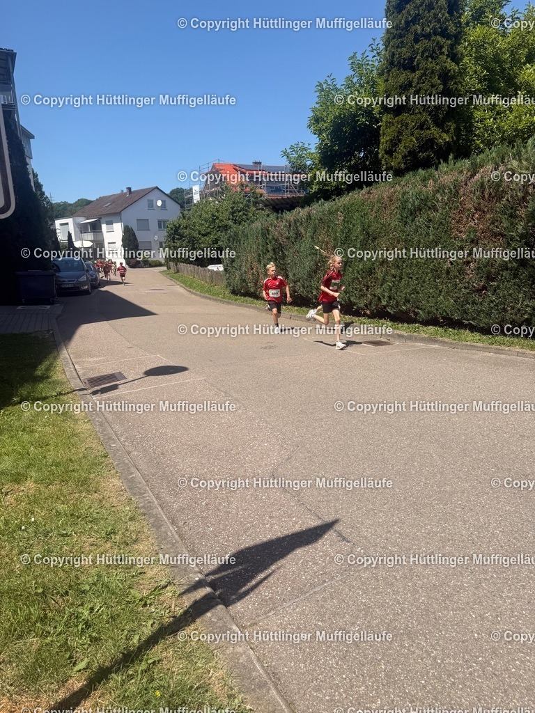 IMG_1682 | Hüttlinger Muffigelläufe - Realisiert mit Pictrs.com