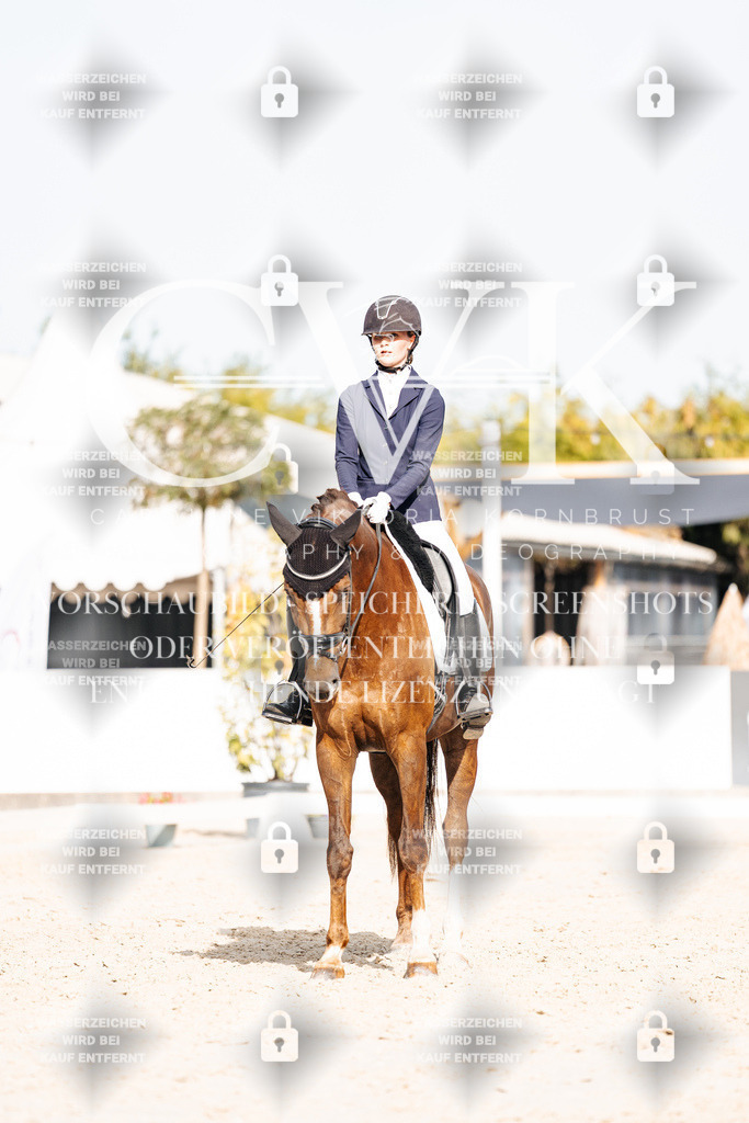 CK905217 | Turnierfotografie Pferdefotografie Trier Rheinland-Pfalz Pferdesport Reitsport Tierfotografie Sportfotografie Pferdevideo Pferdevideografie Equestrianvideography equestrianphotography  - Realisiert mit Pictrs.com