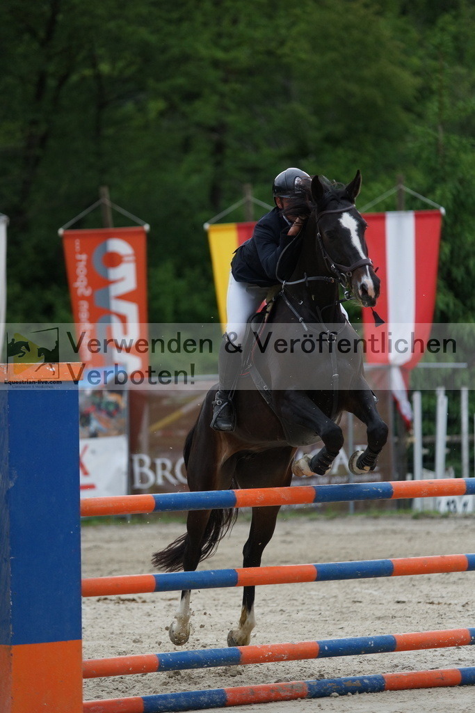 DSC07301 | equestrian-live-com