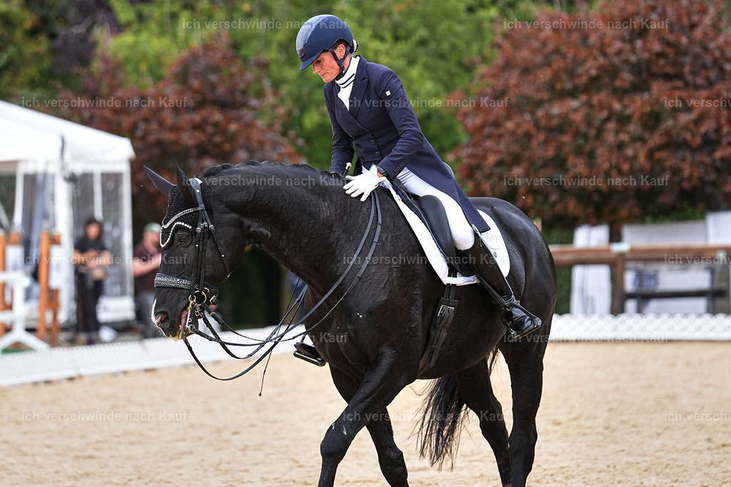 11-042-Dressur S___-StoibPH-1221 | working equitationturnier fotograf videograf stoibphotography marixx film working equitation deutschland reitsport turnierfotografie eventfotografie equestrian events