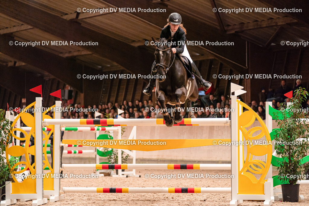 Springen Tag 3-462 | dv-media-shop - Realisiert mit Pictrs.com