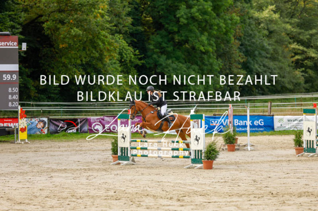 _62_9166 | larahueckfotografie