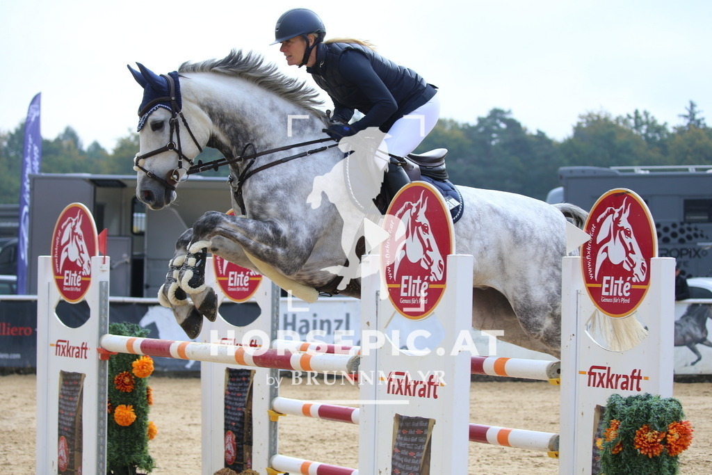 DL2Q0358 | Willkommen bei Brunnmayr - Design & Fotografie – Ihrem Spezialisten für Reitturniere und Pferdeveranstaltungen in Oberösterreich, Salzburg und Bayern! Seit über 17 Jahren sind wir leidenschaftlich dabei.