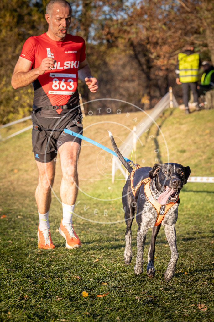 CaniXpix_0L8A1029 | Hundefotografie, Tierfotograf, Pfotenfotografie, Fotoshooting Hund, Hunde Portrait, Hundesport, Hundeportraits, Heideshooting, Hunde, Sportfotograf, Hundefotograf, Turnierhundsport, THS,  - Realisiert mit Pictrs.com