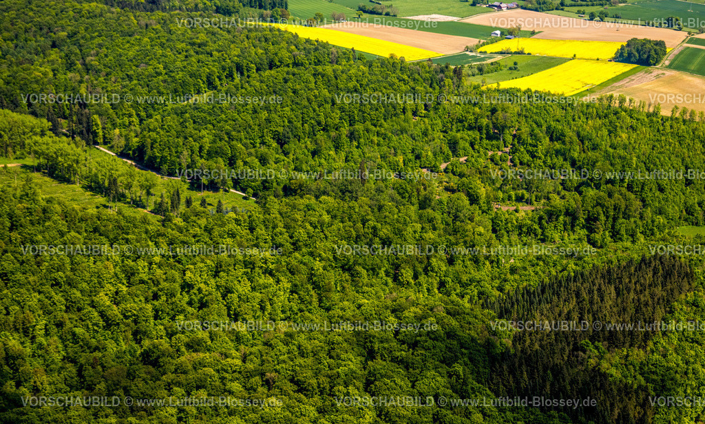 Brakel240504733NSG-HinnenburgerForst | Luftbild, NSG Naturschutzgebiet Hinnenburger Forst mit Emder Bachtal, Wiesen und gelbe Rapsfelder, Waldgebiet, Erwitzen, Nieheim, Ostwestfalen, Nordrhein-Westfalen, Deutschland