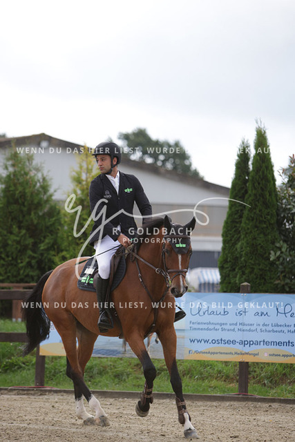 1J2A9526Simao Maio Reis_ Crystal Palace b_ Kn338_ Havekost | Foto- und Videografie für alles rund ums Pferd. Hochwertige Bilder und Videos vom Spring- und Dressurreiten, Voltigieren & mehr. Jetzt aktuelle Veranstaltungen und Preise im Shop ansehen. - Realisiert mit Pictrs.com