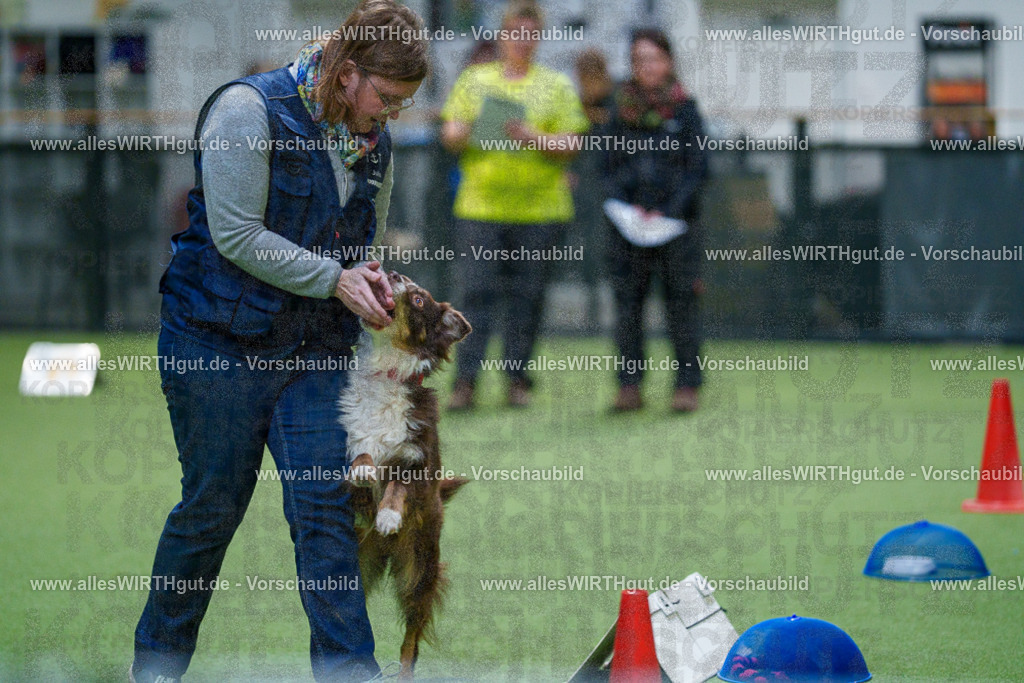7R504215 | Professionelle Tierfotografie in Mönchengladbach von Daniel Wirth (allesWIRTHgut). Liebevolle & natürliche Bilder von Hunden & Katzen für unvergessliche Erinnerungen.