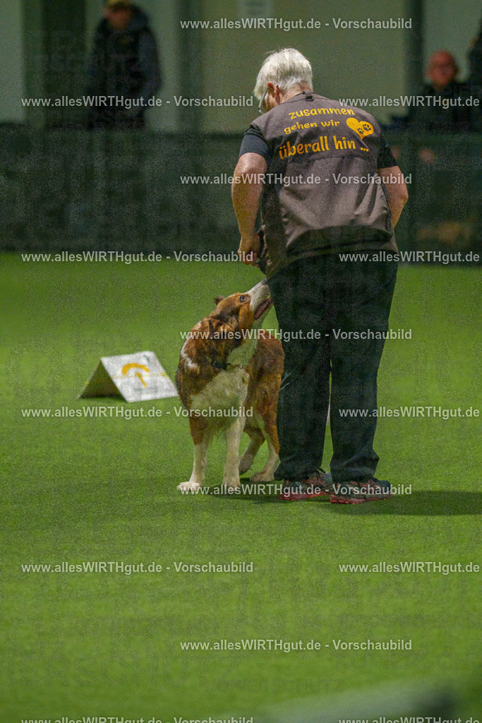 7R508762 | Professionelle Tierfotografie in Mönchengladbach von Daniel Wirth (allesWIRTHgut). Liebevolle & natürliche Bilder von Hunden & Katzen für unvergessliche Erinnerungen.