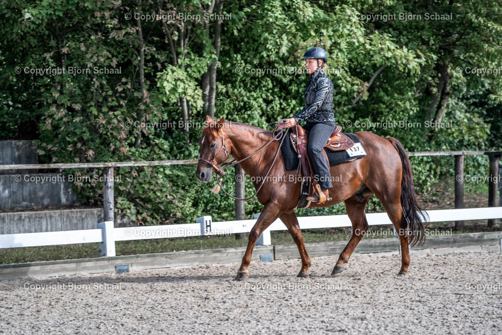 HOB08250 | BS-foto