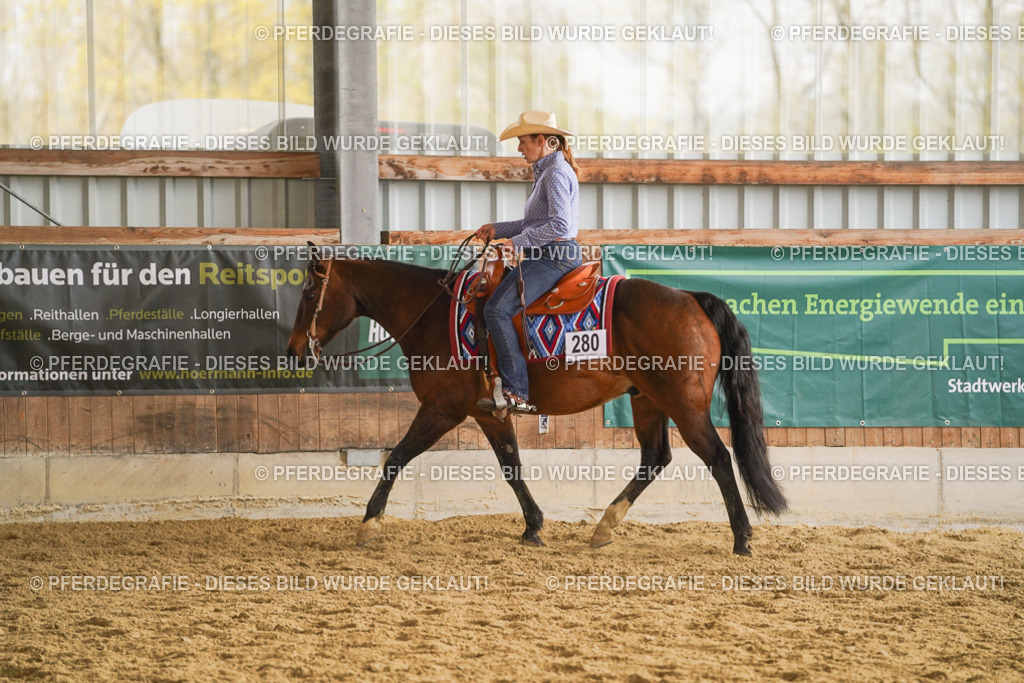 DSC08137 | Pferdegrafie