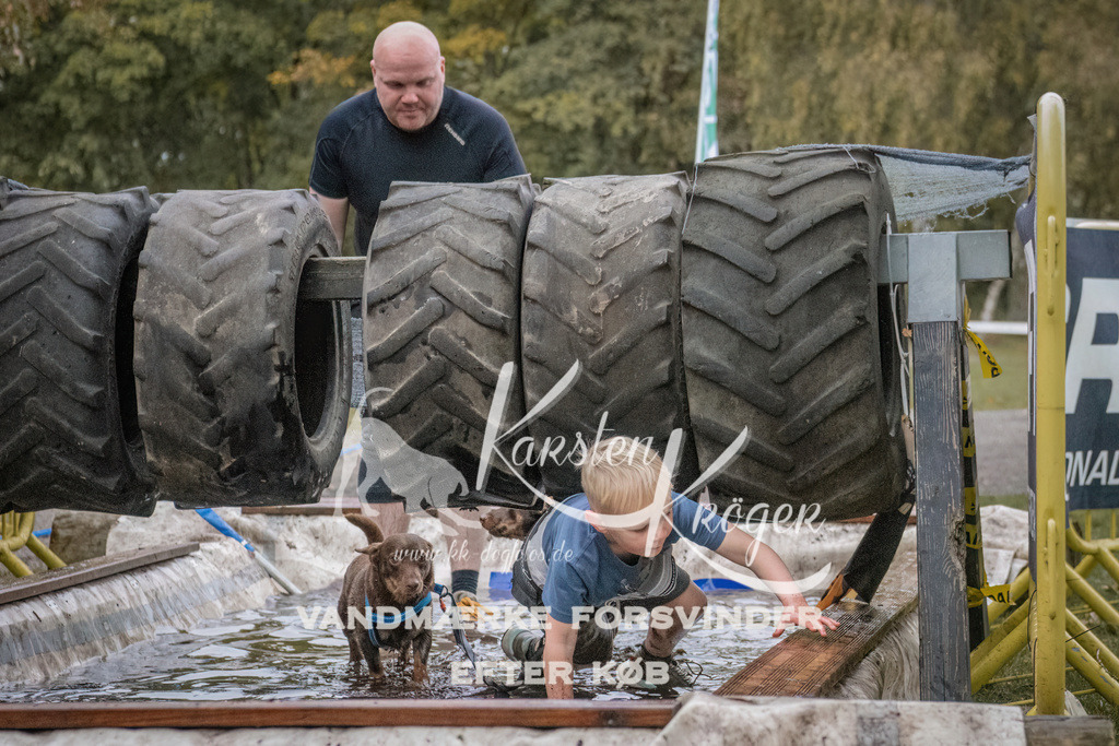 1653_ZZ94299 | kk-dogfotos