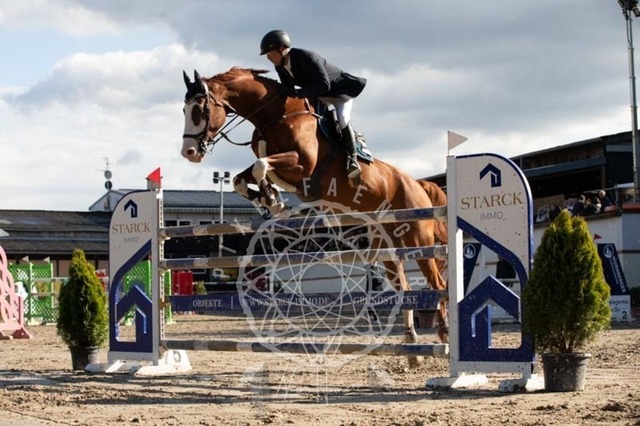 2B4A3761 | pixelfaenger - Realisiert mit Pictrs.com