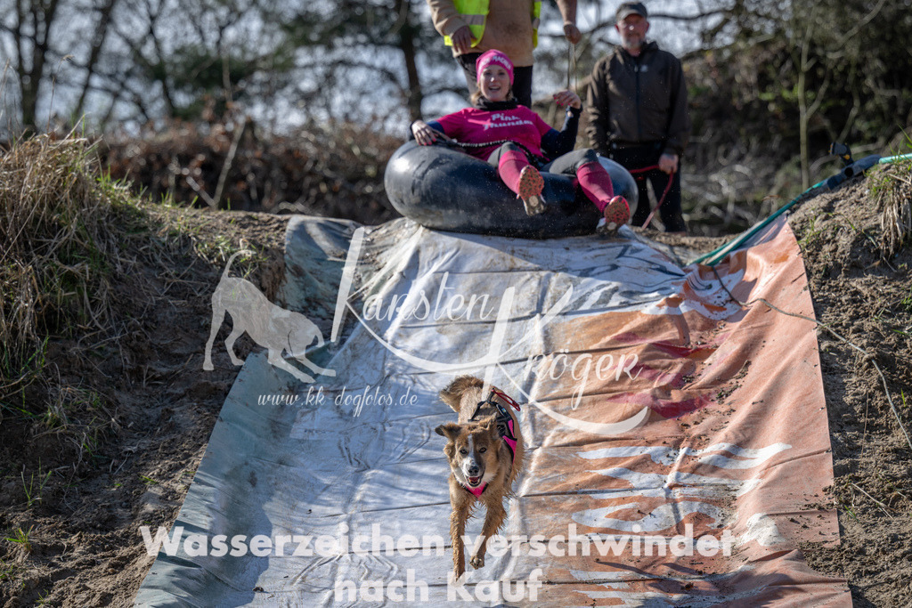 1505_ZZ90844 | kk-dogfotos