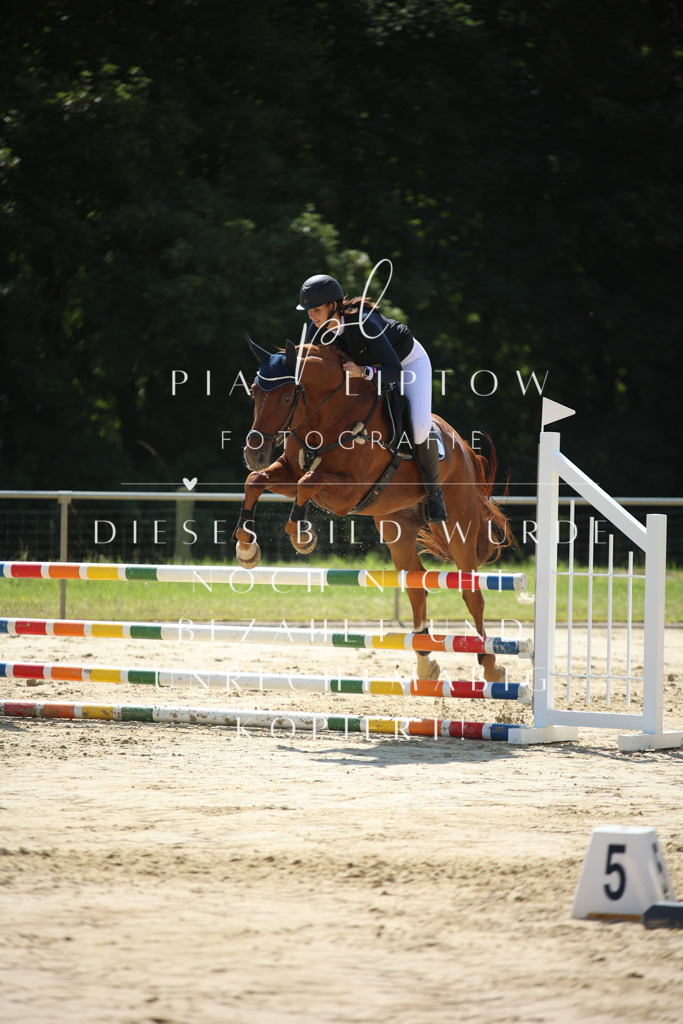 IMGM4270 | pl-fotografie