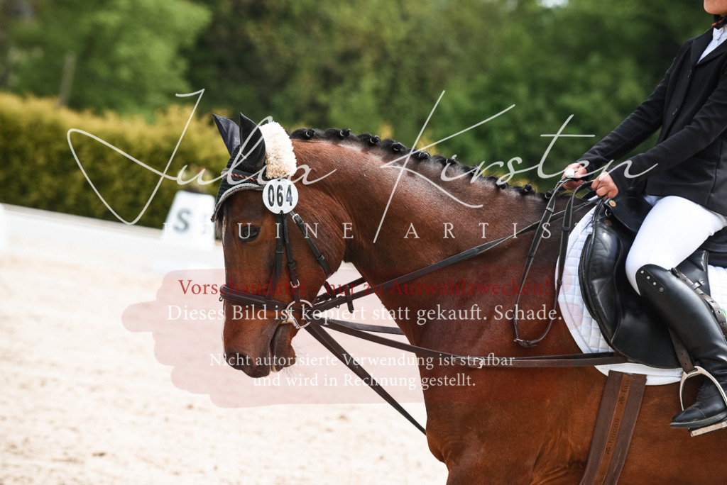 20230518_JK-Röhrsdorf-11-0071 | Pferde- und Turnierfotografie in Westsachsen. Pferdeportraits, Auftragszeichnungen und intuitive Kunst.