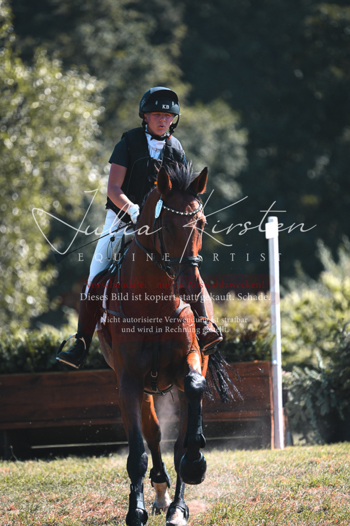DSC_8400 | Pferde- und Turnierfotografie in Westsachsen. Pferdeportraits, Auftragszeichnungen und intuitive Kunst.