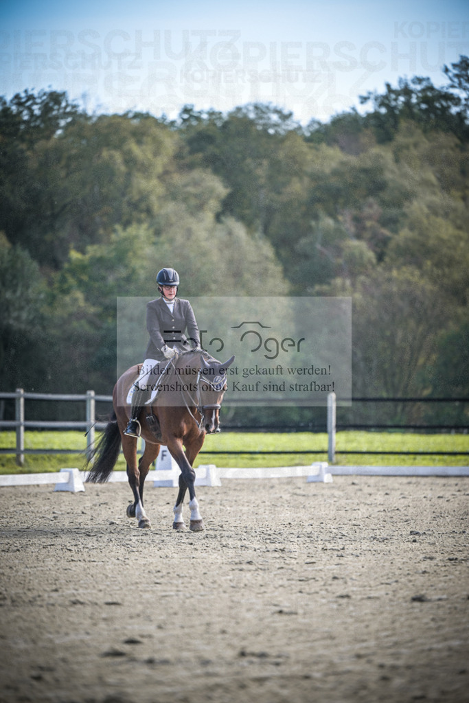 DOS_0961 | Entdecke hochwertige Reitturnierfotos von Foto Oger. Professionell, emotional und authentisch – jetzt Lieblingsmomente im Shop bestellen.Deutschlandweite Turnierfotografie. - Realisiert mit Pictrs.com
