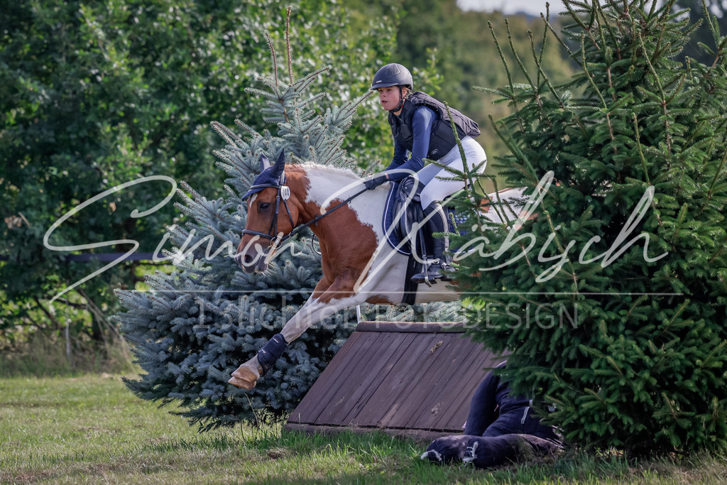 20250907-_3LI9257 | Tierfotografie Pferde, Hunde, Katzen, Haustiere.
Turnierfotografie Reitturniere, Reiten, Springreiten, Dressur in Hanau, dem Main-Kinzig-Kreis und dem Rhein-Main- Gebiet um Frankfurt