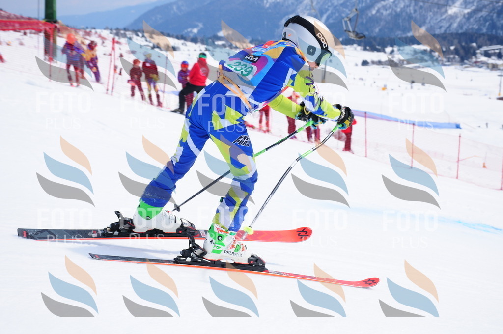 DSC_2232 | holidayphoto