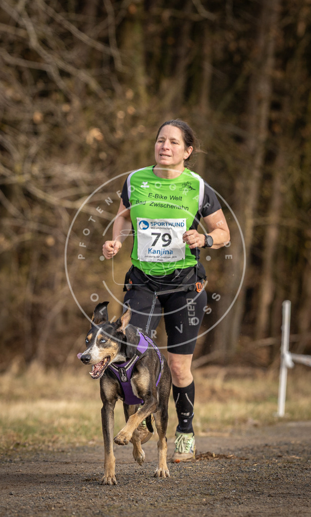 DV3A3757 | Hundefotografie, Tierfotograf, Pfotenfotografie, Fotoshooting Hund, Hunde Portrait, Hundesport, Hundeportraits, Heideshooting, Hunde, Sportfotograf, Hundefotograf, Turnierhundsport, THS,  - Realisiert mit Pictrs.com