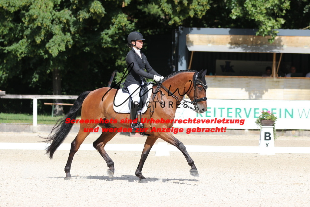 IMG_5337 | lmwpictures - Realisiert mit Pictrs.com