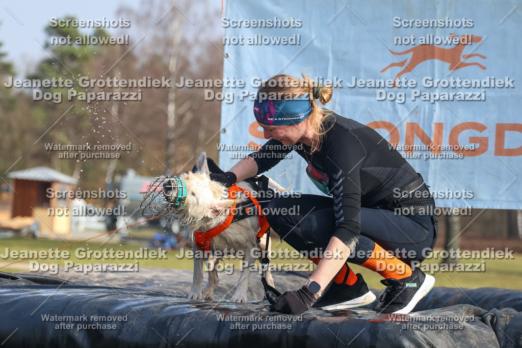 Dog Paparazzi - Strongdog North Mrz26-2260 | Dog Paparazzi Jeanette Grottendiek Fotografie & Videografie - Realisiert mit Pictrs.com