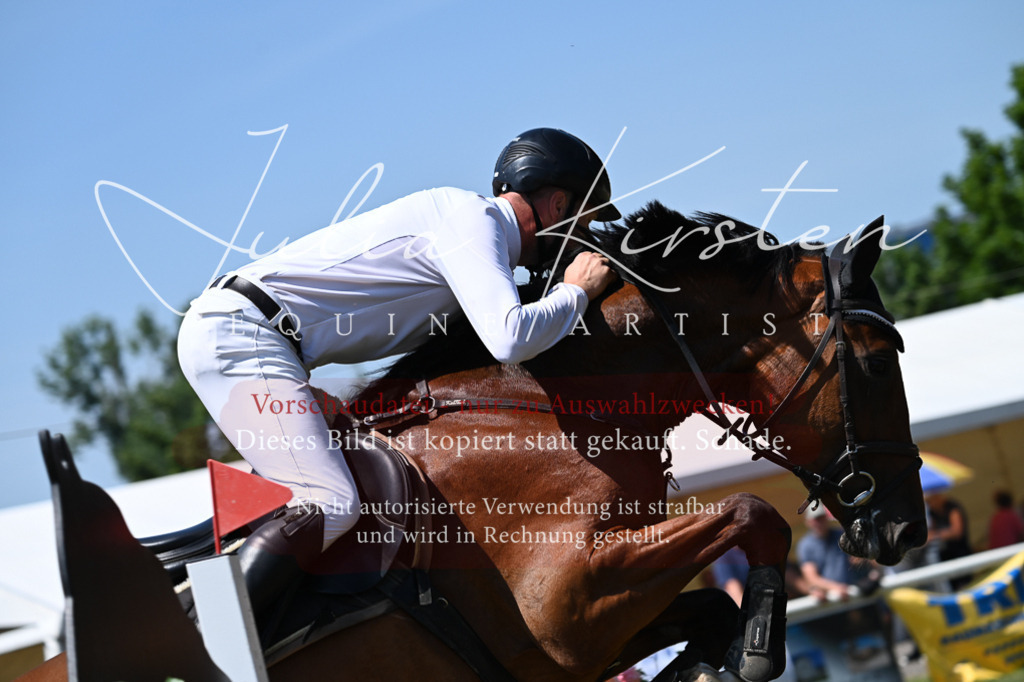DSC_0598 | Pferde- und Turnierfotografie in Westsachsen. Pferdeportraits, Auftragszeichnungen und intuitive Kunst.