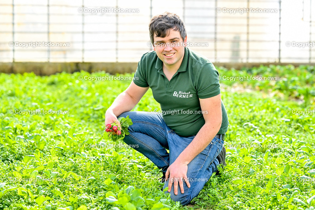 Biohof Berner_ Pupping_ 28.02.2023-3 | 28.02.2023, Pupping, AUT, Biohof Berner, im Bild André Berner (Biobauer) bei der Radieschen Ernte