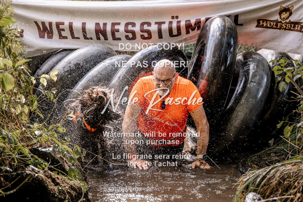 nelerasche_Hunsrück2026_Sa1400-1500_248 | nelerasche