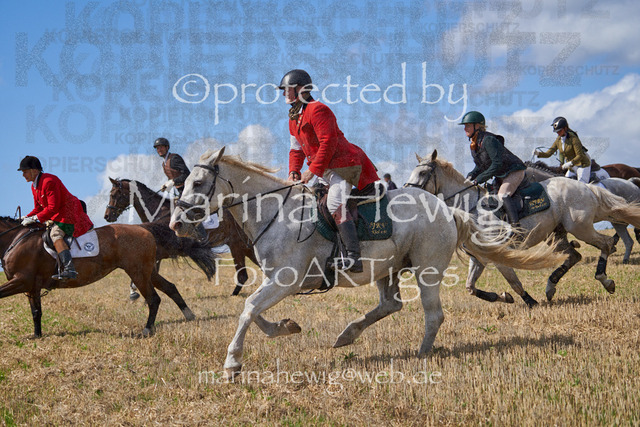 _MCH8485_Marina Hewig | Fotografie, FotoArt, PferdesportArt, Pferdesportfotografie, Landschaftsfotografie, Reisefotografie, Reise, Pferde - Realisiert mit Pictrs.com