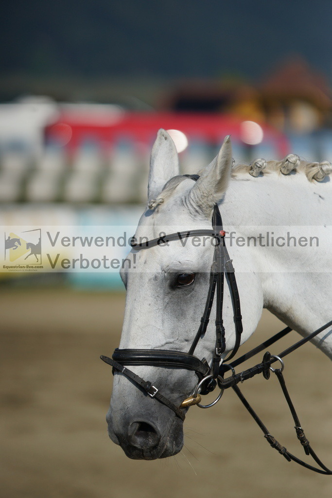 DSC02816 | equestrian-live-com