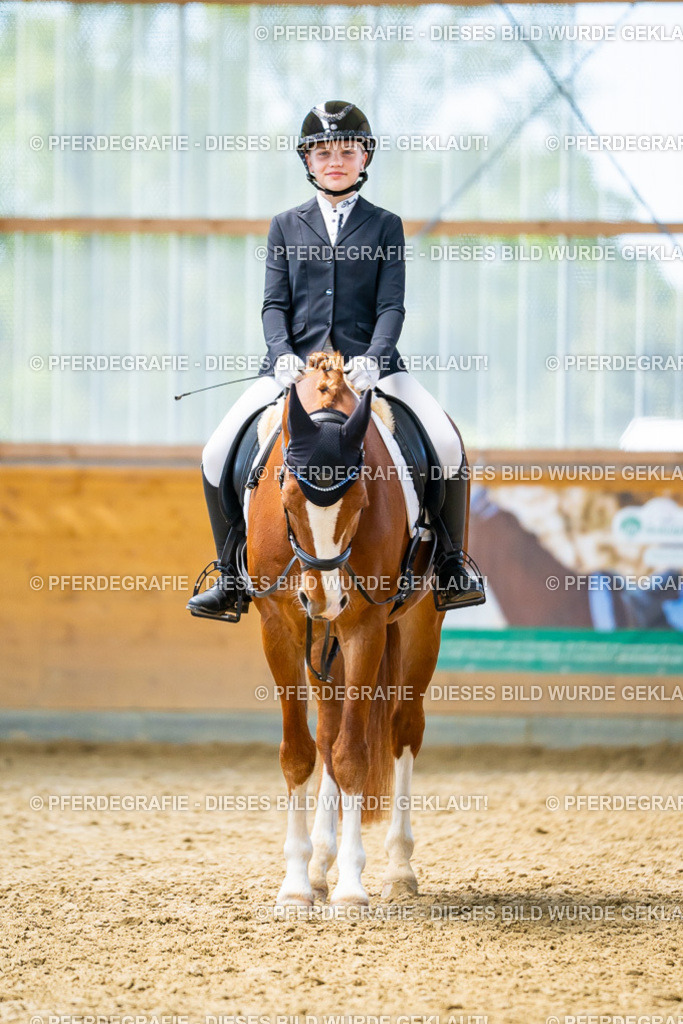 DSC09574 | Pferdegrafie