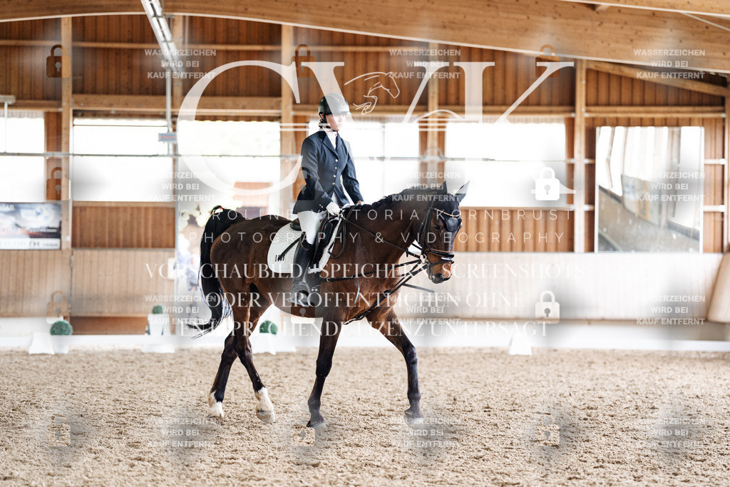 CK901747 | Turnierfotografie Pferdefotografie Trier Rheinland-Pfalz Pferdesport Reitsport Tierfotografie Sportfotografie Pferdevideo Pferdevideografie Equestrianvideography equestrianphotography  - Realisiert mit Pictrs.com