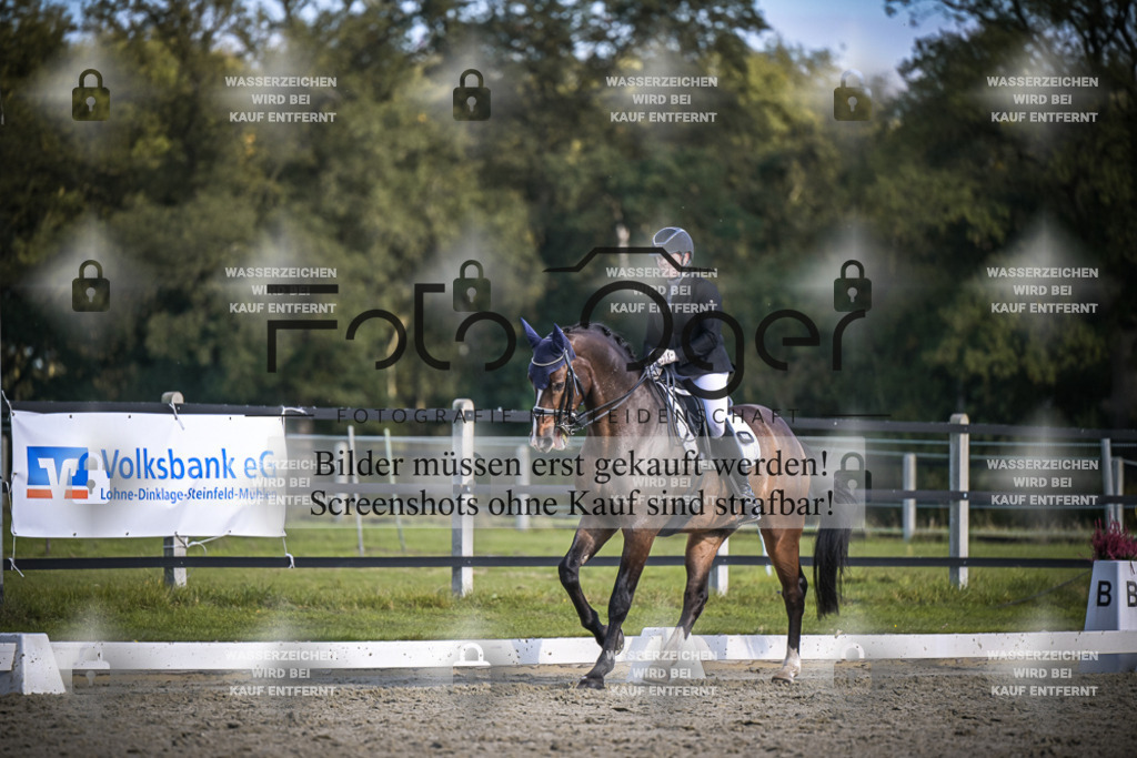 DOS_4798 | Entdecke hochwertige Reitturnierfotos von Foto Oger. Professionell, emotional und authentisch – jetzt Lieblingsmomente im Shop bestellen.Deutschlandweite Turnierfotografie. - Realisiert mit Pictrs.com