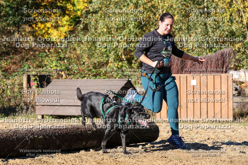 Dog Paparazzi - Strongdog 10-25-1737 | Dog Paparazzi Jeanette Grottendiek Fotografie & Videografie - Realisiert mit Pictrs.com