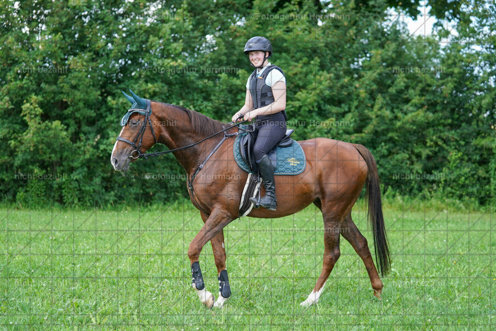 20240622-FAH07002 | Turnierfotografen Bayern, Reitsportbilder aus dem Geländekurs mit Felix Etzel auf dem Gut Waitzacker 2024