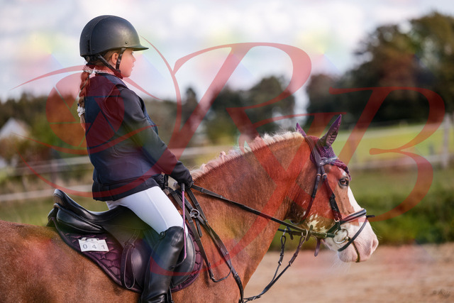 2026_10_03_Siefer-Hof_144334_Z81_17163793 | Professionelle Reitsport-, Turnier- und Eventfotografie von Robert Broda. Galerien mit ausgewählten und bearbeiteten Bildern direkt online ansehen und bestellen.