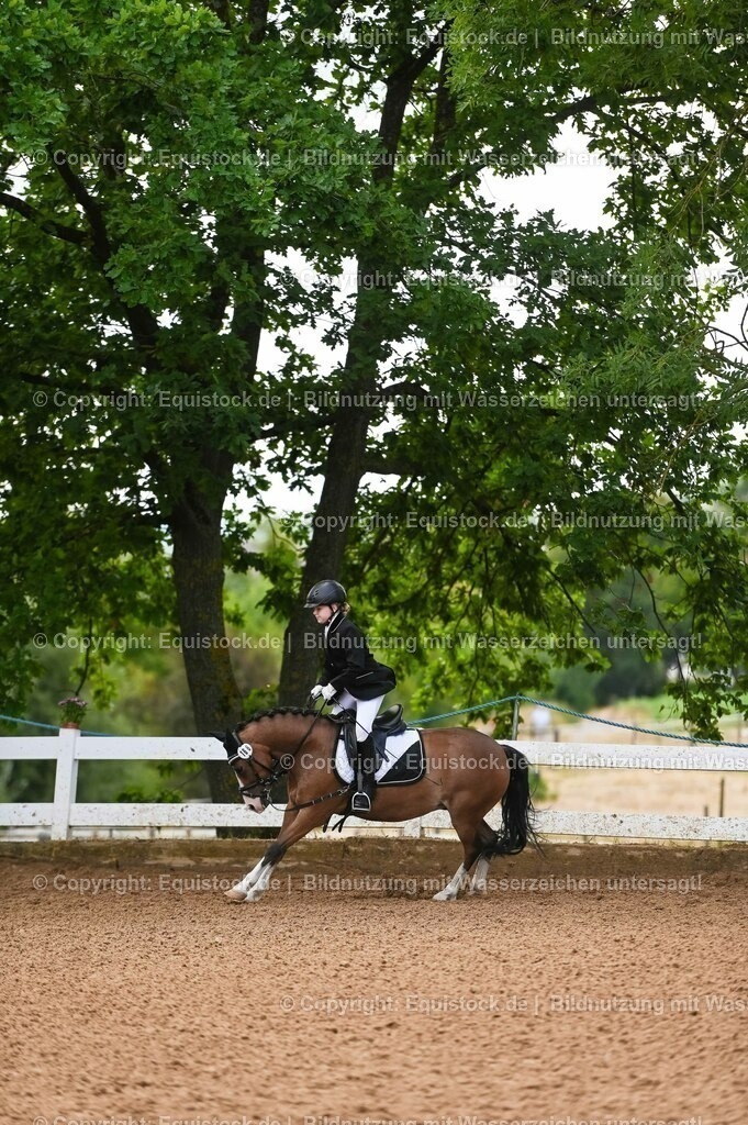 20230716_10-2_Reiter-WB Schritt - Trab - Galopp_0139 | equistock