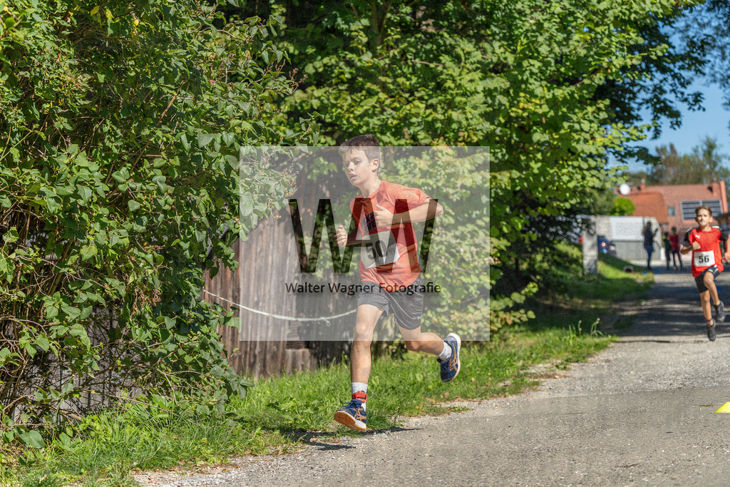 1WW04377 | walter-wagner-fotografie