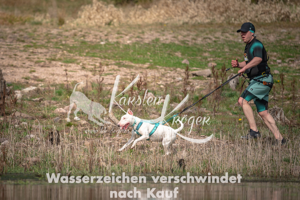 1101DZ6_2547 | kk-dogfotos