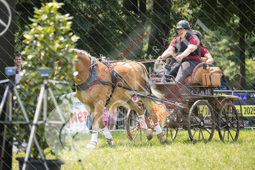 IMG_8528 | Sport-, Event- und Tierfotos in Profiqualität. Einfach auswählen, bestellen und herunterladen. Dein Moment – perfekt festgehalten.