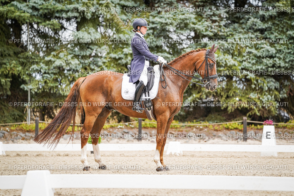 DSC04877 | Pferdegrafie