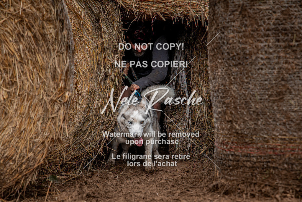 nelerasche_Hunsrück_So11-12_358 | nelerasche