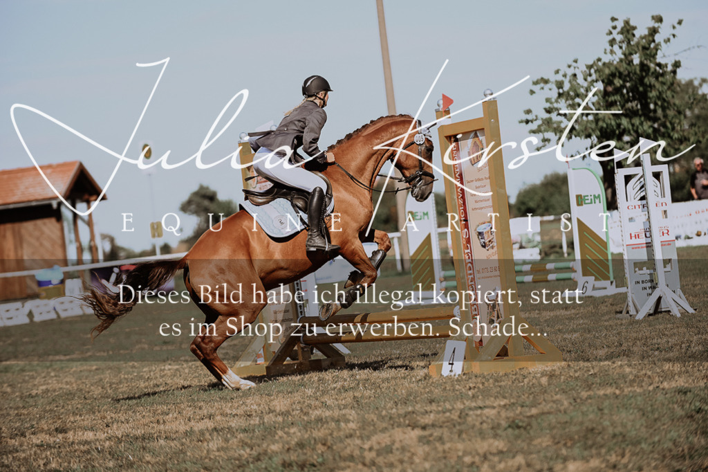 DSC_9281 | Pferde- und Turnierfotografie in Westsachsen. Pferdeportraits, Auftragszeichnungen und intuitive Kunst.