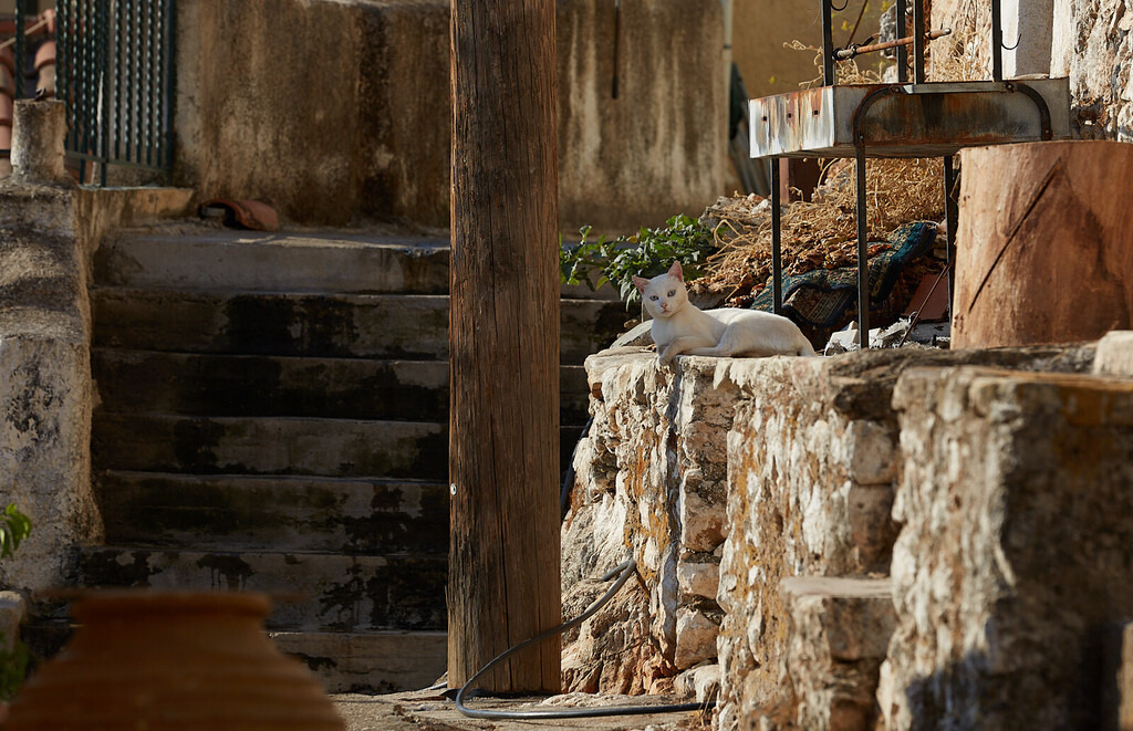 _T6A9297 | prints.tavailable-light.de - Realisiert mit Pictrs.com