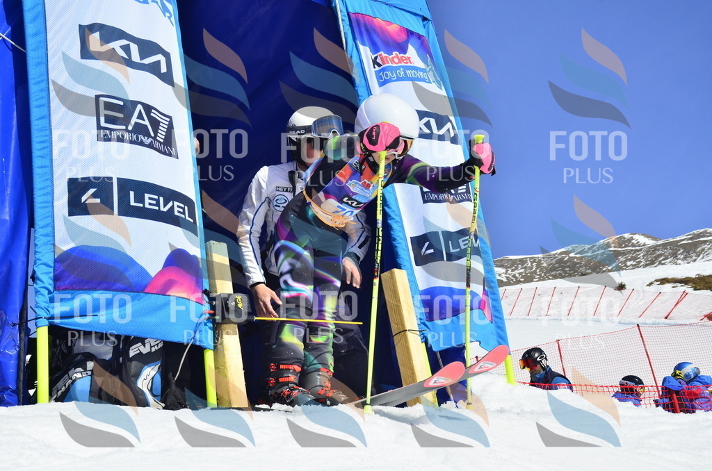 _ELE0321 | holidayphoto