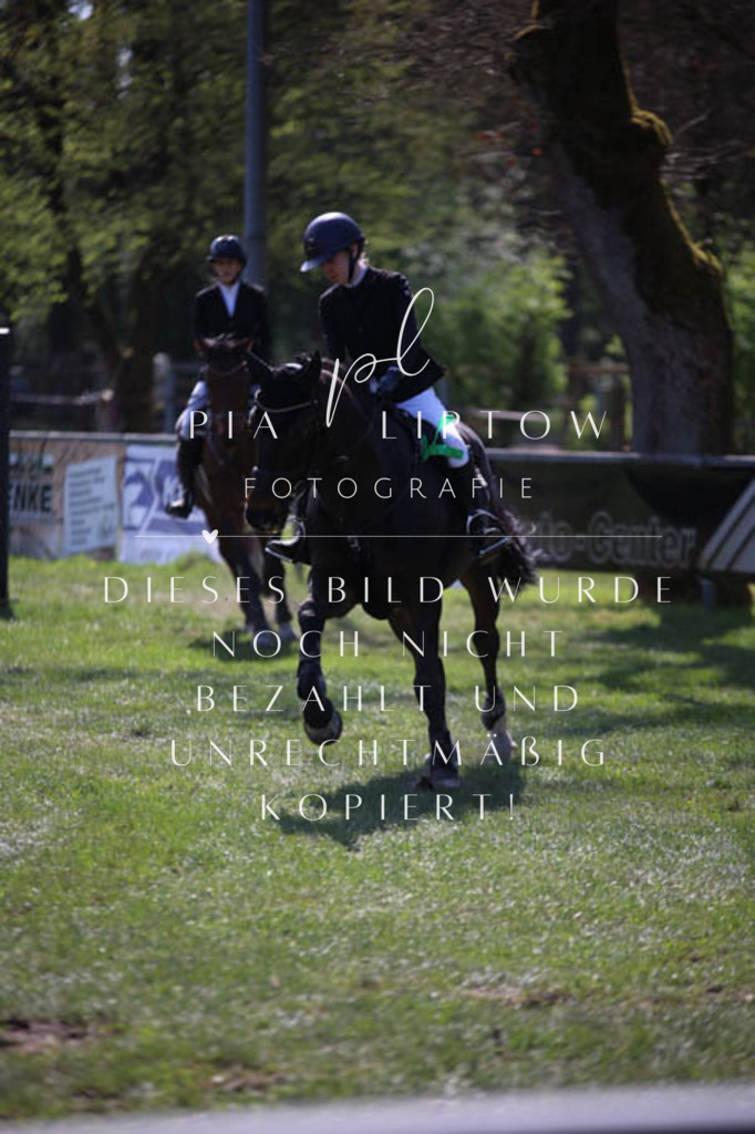 IMGT5776 | pl-fotografie