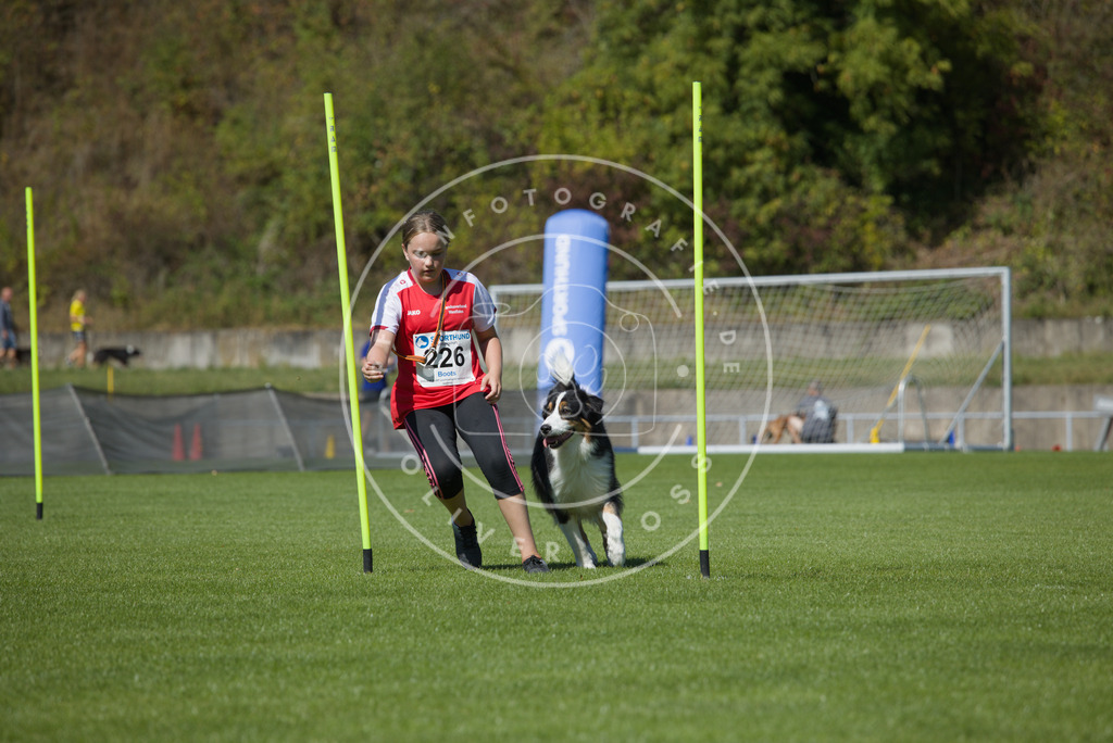 0L8A6027 | Hundefotografie, Tierfotograf, Pfotenfotografie, Fotoshooting Hund, Hunde Portrait, Hundesport, Hundeportraits, Heideshooting, Hunde, Sportfotograf, Hundefotograf, Turnierhundsport, THS,  - Realisiert mit Pictrs.com